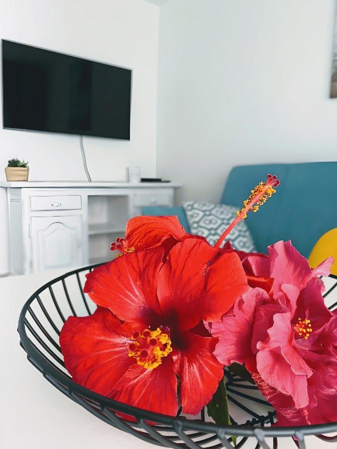 Apartamento Red Hibiscus Corralejo Irent Fuerteventura Exterior foto